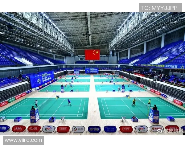 北京羽毛球队挑战赛战术分析与表现评估全景解读